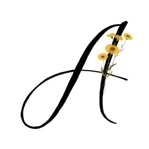 May include: A black cursive letter "A" with a sprig of yellow flowers. The flowers have yellow petals and brown centers. The background is plain white.