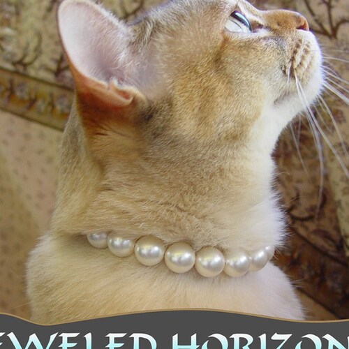 Pearl Cat Collar With Safety Clasp Etsy