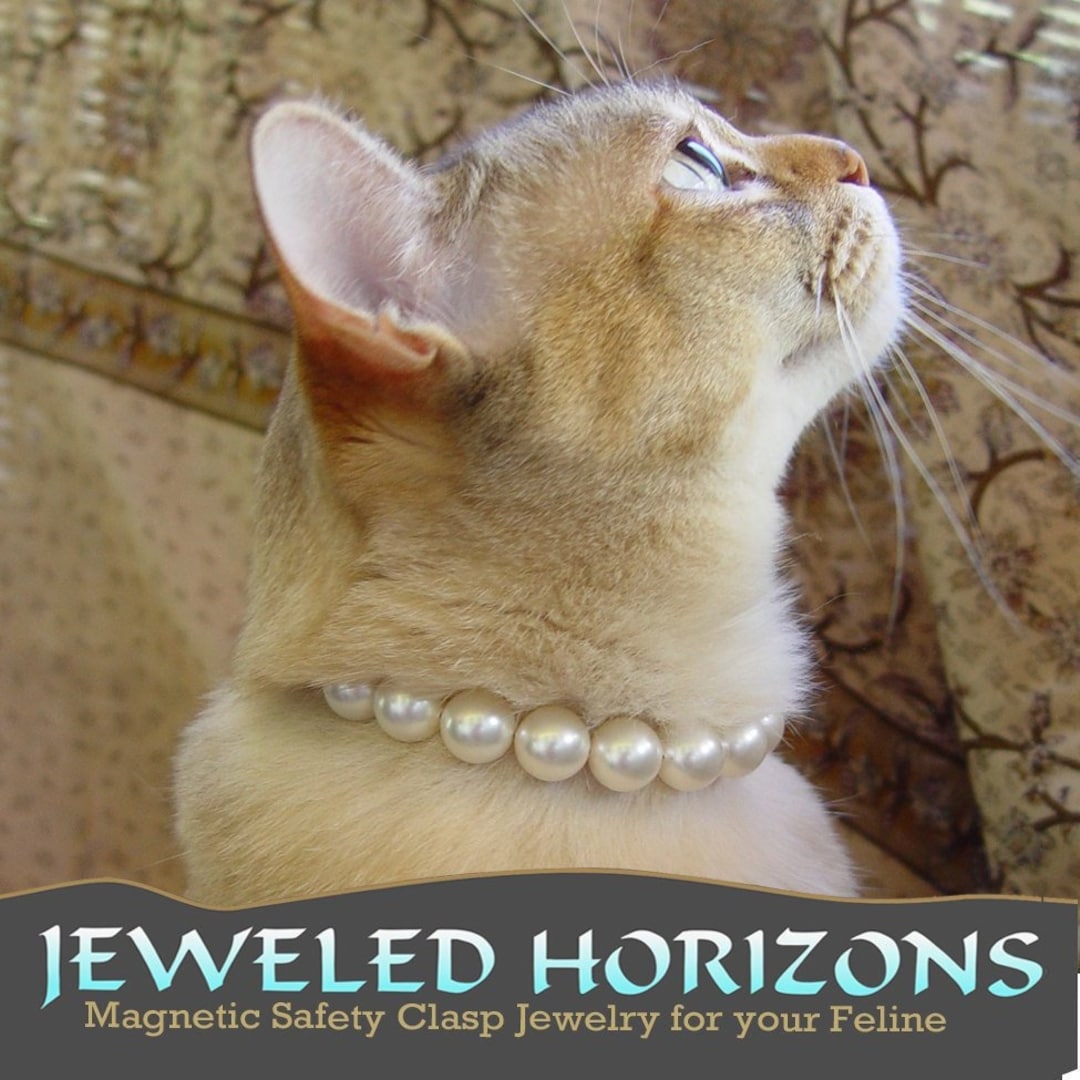 SALE PRICE Pearl Cat Collar With Safety Clasp Etsy