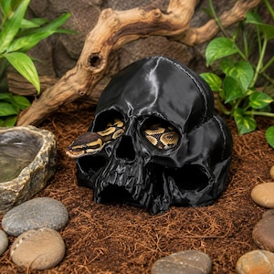 May include: A black skull-shaped reptile hide with hollow eye sockets and a nasal cavity. A brown and tan patterned ball python is visible, with its head emerging from the left eye socket and its body coiled within the skull structure.