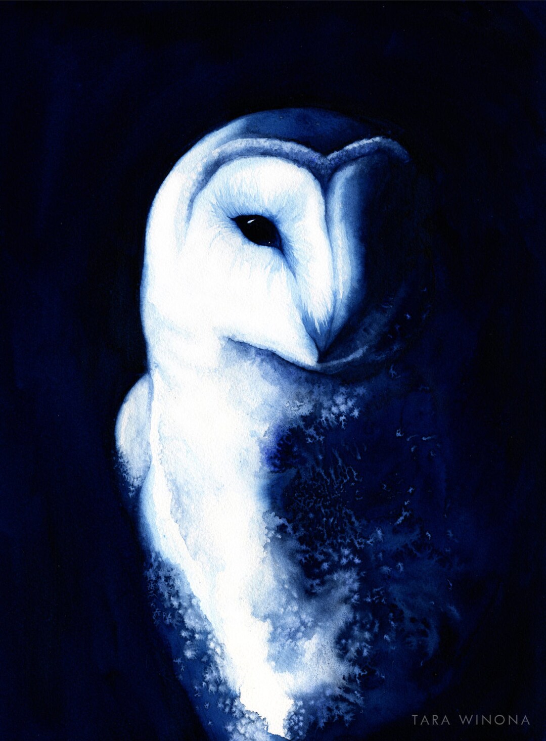 Night Vision Owl Watercolour Bird Art Blue A4 Archival Giclee Print Etsy