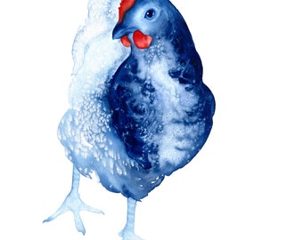 Curiosity the Chicken art print - A3 blue and red limited edition bird art watercolor blues