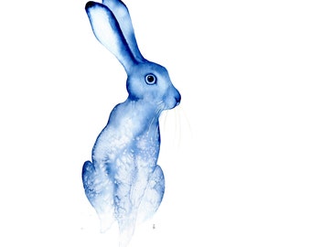 Blue Moon Gazing Hare limited edition art print  -  watercolour A3 giclee art print - clean, modern, contempory art