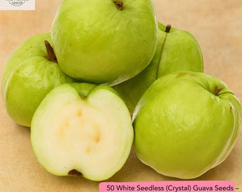 50 White Seedless Crystal Guava Seeds, Rare Tropical Variety