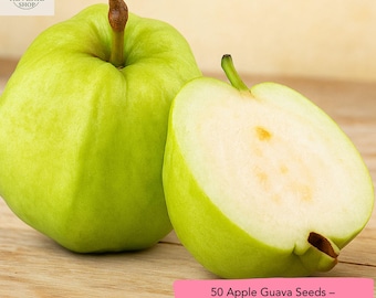 50 Apple Guava Seeds – Easy-Grow Tropical Fruit Variety, Sweet Juicy Guava for Home Gardens, Containers & Exotic Orchard Planting