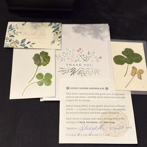 Trèfles authentiques à 5 et 6 feuilles - cadeau porte-bonheur fait main - porte-bonheur - trèfle à 5 et à 6 feuilles pressés et laminé