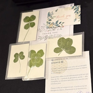 Trèfles à 4 feuilles authentiques - Cadeau porte-bonheur fait main - porte-bonheur - trèfle à 4 à feuilles pressé et laminé
