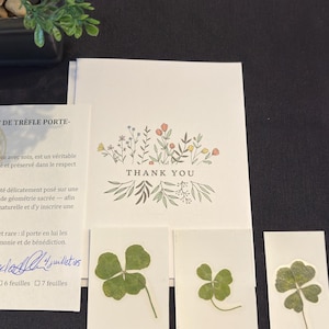 Trèfles à 4 feuilles authentiques - Cadeau porte-bonheur fait main - porte-bonheur - trèfle à 4 à feuilles pressé et laminé