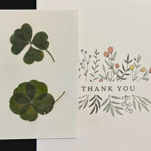 Authentic 4 & 5 Leaf Clovers – Handmade Good Luck Gift - porte-bonheur - trèfle à 4 et 5 feuilles pressés et  laminé