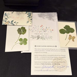 Good luck: 6-Leaf and 5-Leaf Clover Set – A Rare Natural Charm - luck you. pressés et laminé