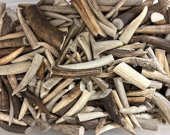 Elk Deer Antler Tips Toggles Crafts • Mixed Grade A/B/C • Natural Shed Antler for Jewelry, Knife Handles, Décor, Buttons, Rustic DIY Supply