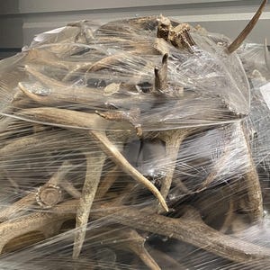 May include: A large bundle of deer antlers, varying in size and shape, wrapped in clear plastic. The antlers are a natural tan color, with some having darker tips and bases. The bundle appears to be ready for sale or storage.
