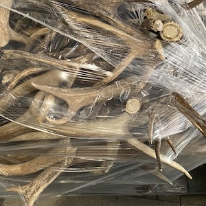 May include: A collection of deer antlers, varying in size and shape, are bundled together and wrapped in clear plastic. The antlers are a natural brown color, with some showing lighter shades. The image suggests a rustic or natural theme.