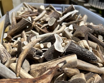Elk & Deer Antler Scrap Craft Mix • Natural Shed Offcuts Grab Bag • Mixed Grades A/B/C • Rustic DIY Material for Jewelry, Décor, Art