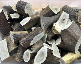 Deer & Elk Antler Craft Chunks • Knife Handle Blanks, Buttons, Toggles • Mixed Antler Pieces for Rustic DIY, Carving, Jewelry, Art