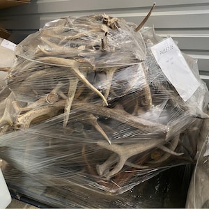 May include: A large bundle of deer antlers, varying in size and shape, wrapped in clear plastic. The antlers are a natural tan color and appear to be harvested. A white label with the text "PALLET 08" is visible.