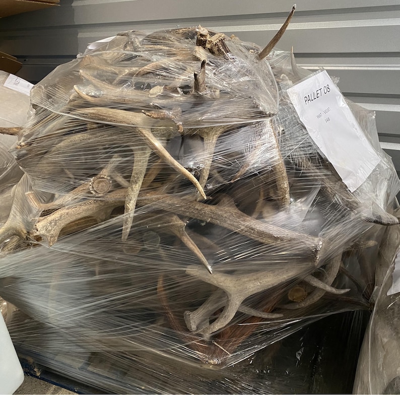 May include: A large bundle of deer antlers, varying in size and shape, wrapped in clear plastic. The antlers are a natural tan color and appear to be harvested. A white label with the text "PALLET 08" is visible.