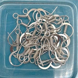 May include: A package of silver-colored fishhook earrings. The package is blue and has the text "FISHHOOK EARRINGS" and "30 pc/pz". The package also says "Nickel Free".