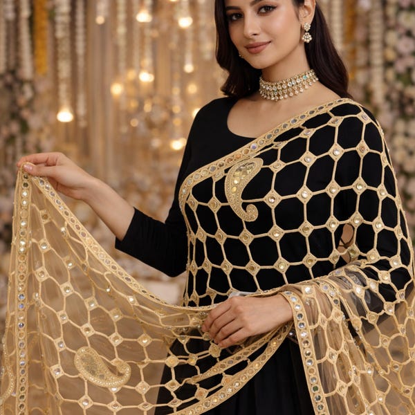 Dupatta calada a mano / Red suave con detalle de espejo real