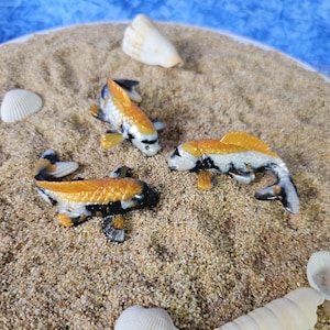 Magnets for Moments of Calm – Three Koi in Peaceful Formation