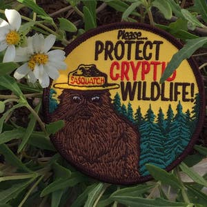 Cryptid PSA Patch Cryptozoology Tracking Society Bigfoot Sasquatch Badge NPS Smokey the Bear Woodland Hiking Camping Fish Hunt image 3