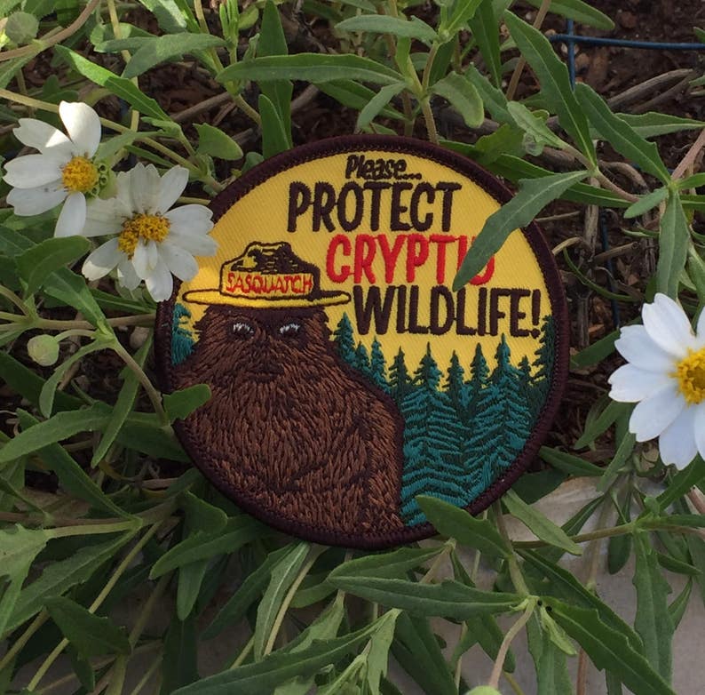 Cryptid PSA Patch Cryptozoology Tracking Society Bigfoot Sasquatch Badge NPS Smokey the Bear Woodland Hiking Camping Fish Hunt image 3