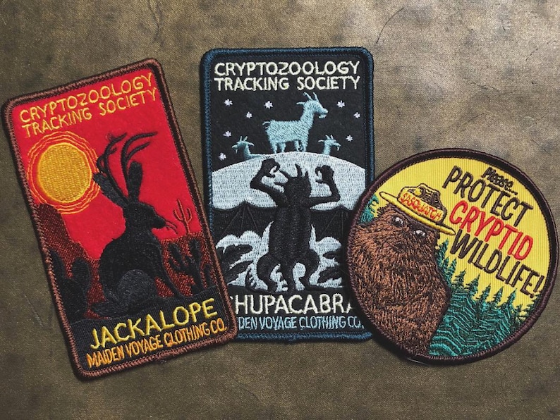 Cryptid PSA Patch Cryptozoology Tracking Society Bigfoot Sasquatch Badge NPS Smokey the Bear Woodland Hiking Camping Fish Hunt image 10