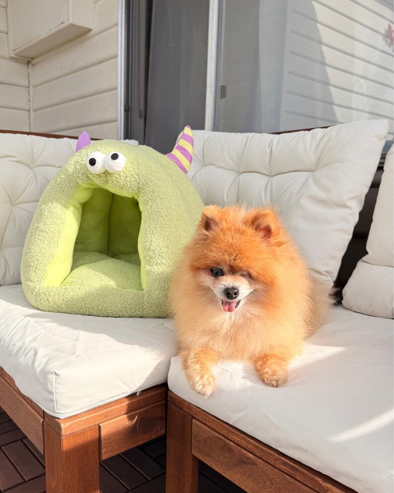 Pode incluir: Um c&atilde;o Pomer&acirc;nia laranja e fofo est&aacute; sentado em uma almofada branca ao lado de uma cama para animais de estima&ccedil;&atilde;o verde clara em forma de monstro. A cama tem detalhes roxos e amarelos e olhos grandes e arregalados. O c&atilde;o olha para a c&acirc;mera.