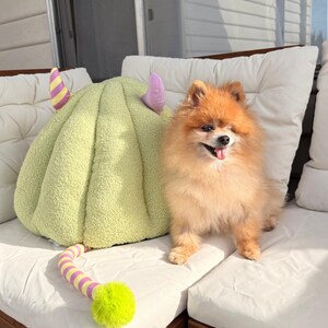 Pode incluir: Um c&atilde;o Pomer&acirc;nia laranja e fofo est&aacute; sentado em uma almofada branca ao lado de uma cama para animais de estima&ccedil;&atilde;o verde claro com chifres roxos e amarelos. Um brinquedo listrado com uma bola verde est&aacute; em primeiro plano. O c&atilde;o est&aacute; sorrindo com a l&iacute;ngua de fora.
