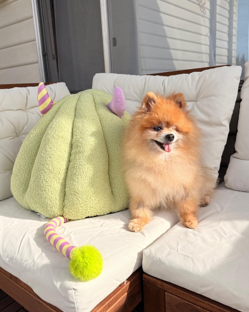 Pode incluir: Um c&atilde;o Pomer&acirc;nia laranja e fofo est&aacute; sentado em uma almofada branca ao lado de uma cama para animais de estima&ccedil;&atilde;o verde claro com chifres roxos e amarelos. Um brinquedo listrado com uma bola verde est&aacute; em primeiro plano. O c&atilde;o est&aacute; sorrindo com a l&iacute;ngua de fora.