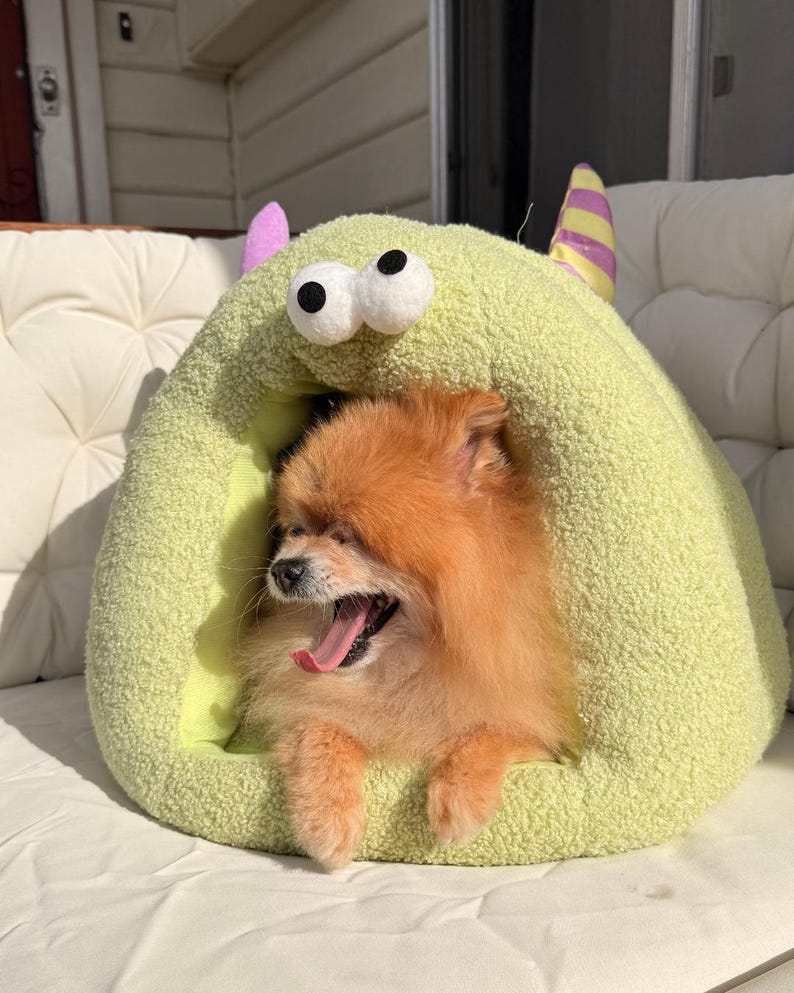 Pode incluir: Um pequeno c&atilde;o Pomer&acirc;nia laranja boceja dentro de uma cama para animais de estima&ccedil;&atilde;o em forma de monstro verde claro. A cama tem olhos grandes e arregalados e chifres roxos e amarelos. A boca do c&atilde;o est&aacute; bem aberta, revelando sua l&iacute;ngua rosa.