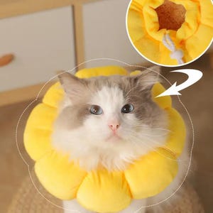 Flower-Shaped Recovery Collar | Soft Pet Cone for Cats & Small Dogs | Cute E-Collar for Post Surgery, Grooming, or Itching Relief