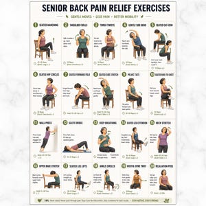 May include: A poster with illustrations of 20 exercises for senior back pain relief. Each exercise is demonstrated with a woman, with instructions for repetitions and hold times. The exercises include stretches and movements.