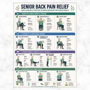 May include: An infographic titled "Senior Back Pain Relief" detailing gentle exercises and stretches. The guide features illustrations of various exercises, including seated march, shoulder rolls, and knee-to-chest stretches, with instructions to reduce discomfort and improve mobility.