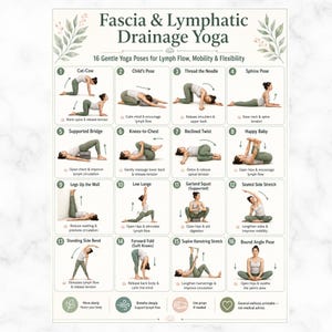 May include: A white informational poster titled Fascia & Lymphatic Drainage Yoga featuring 16 numbered illustrations of yoga poses with descriptive text for each, including Cat-Cow, Child's Pose, Thread the Needle, Sphinx, and others for mobility.