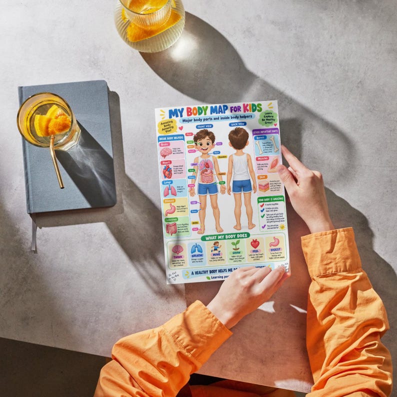 Body Organs for Kids Poster |human Anatomy Chart for Children |kids ...