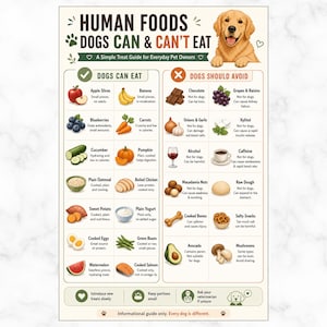 May include: A guide titled "Human Foods Dogs Can & Can't Eat" with food illustrations. It lists foods dogs can eat, including apples and blueberries, and foods to avoid, such as chocolate and grapes. A golden retriever is at the top of the guide.