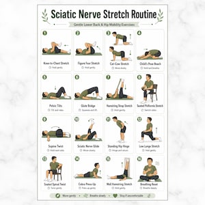 Könnte beinhalten: Ein Poster mit dem Titel "Sciatic Nerve Stretch Routine" mit Illustrationen von 16 Übungen für sanfte Mobilität im unteren Rücken und in der Hüfte. Jede Übung ist nummeriert und enthält eine kurze Beschreibung und Anweisungen.