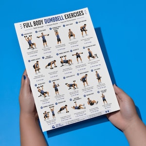 May include: A white exercise chart titled "FULL BODY DUMBBELL EXERCISES" with illustrations of various dumbbell exercises. The chart is held against a blue background. The chart includes exercises like shoulder press, lateral raises, and overhead tricep extension.