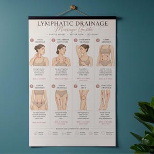 May include: A white poster with black text and illustrations detailing lymphatic drainage massage techniques. The poster, titled "Lymphatic Drainage Massage Guide," includes diagrams for neck, collarbone, underarm, and abdomen areas, among others. It hangs from a gold-coloured rod.