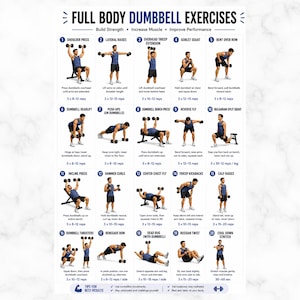 May include: A white infographic detailing full-body dumbbell exercises. The guide includes illustrations of various exercises such as shoulder press, lateral raises, and goblet squats, with sets and rep ranges. The text at the top reads "Full Body Dumbbell Exercises."