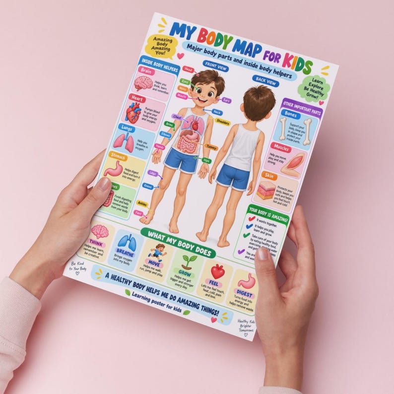 Body Organs for Kids Poster |human Anatomy Chart for Children |kids ...
