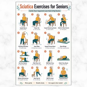 May include: A poster titled "Sciatica Exercises for Seniors" with 16 illustrated exercises. The exercises include stretches and movements, such as seated march, pelvic tilt, and knee-to-chest stretch. The poster is designed to provide a gentle chair-supported lower back and hip routine.