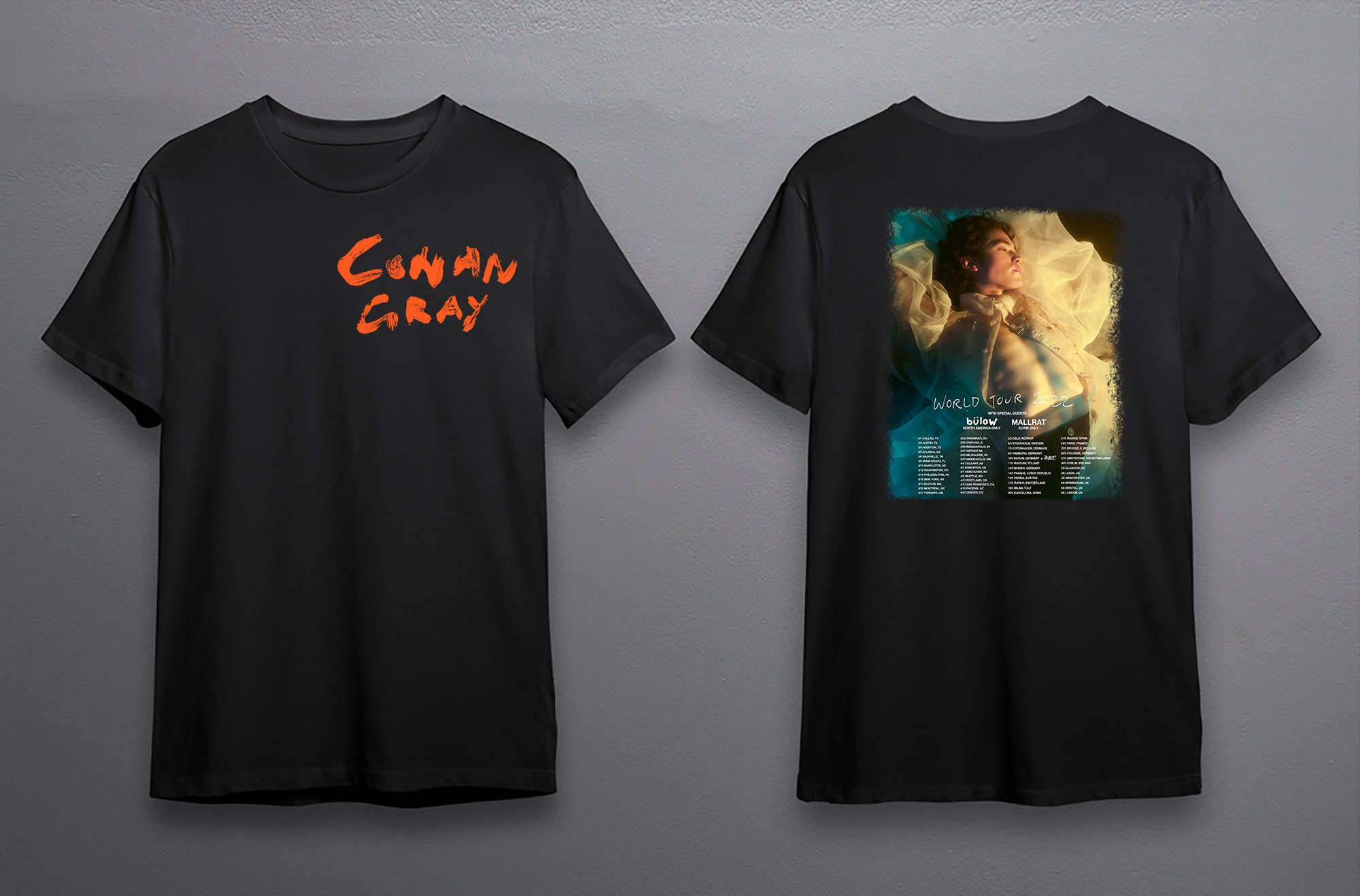 Discover Conan Gray World Tour 2022 Shirt, Conan Gray shirt, Conan gray North America Tour 2022 Shirt