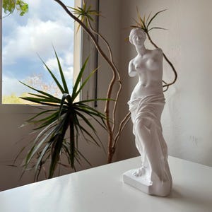 Puede incluir: Una estatua blanca de Venus de Milo, una escultura clásica, se alza sobre una superficie blanca. La estatua no tiene brazos y está cubierta de tela. El fondo incluye una ventana con vista al cielo y plantas.