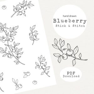 May include: Black and white line art of blueberry branches and individual berries scattered on a white background. The text "hand drawn Blueberry Stick & Stitch" is in a circle. A PDF download is available.