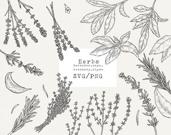Download Herbs Svg Etsy