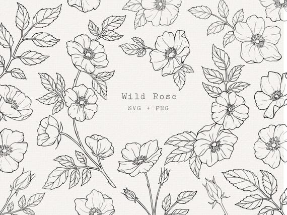Wild Rose Line Art SVG, Floral Illustration Bundle (SVG & PNG)