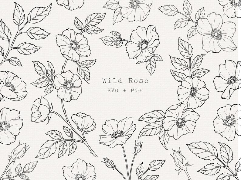 Pu&ograve; includere: Illustrazione in bianco e nero a linea di rose selvatiche con foglie e steli. Il testo "Wild Rose SVG + PNG" &egrave; al centro dell'immagine.