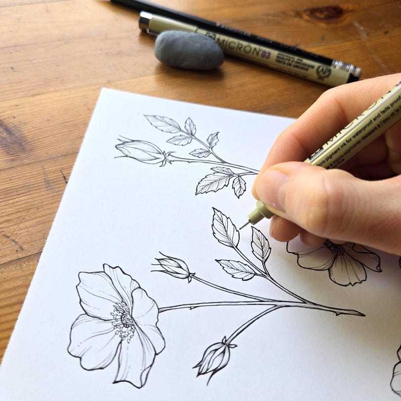 Wild Rose Line Art SVG, pacchetto di illustrazioni floreali (SVG e PNG) immagine 10